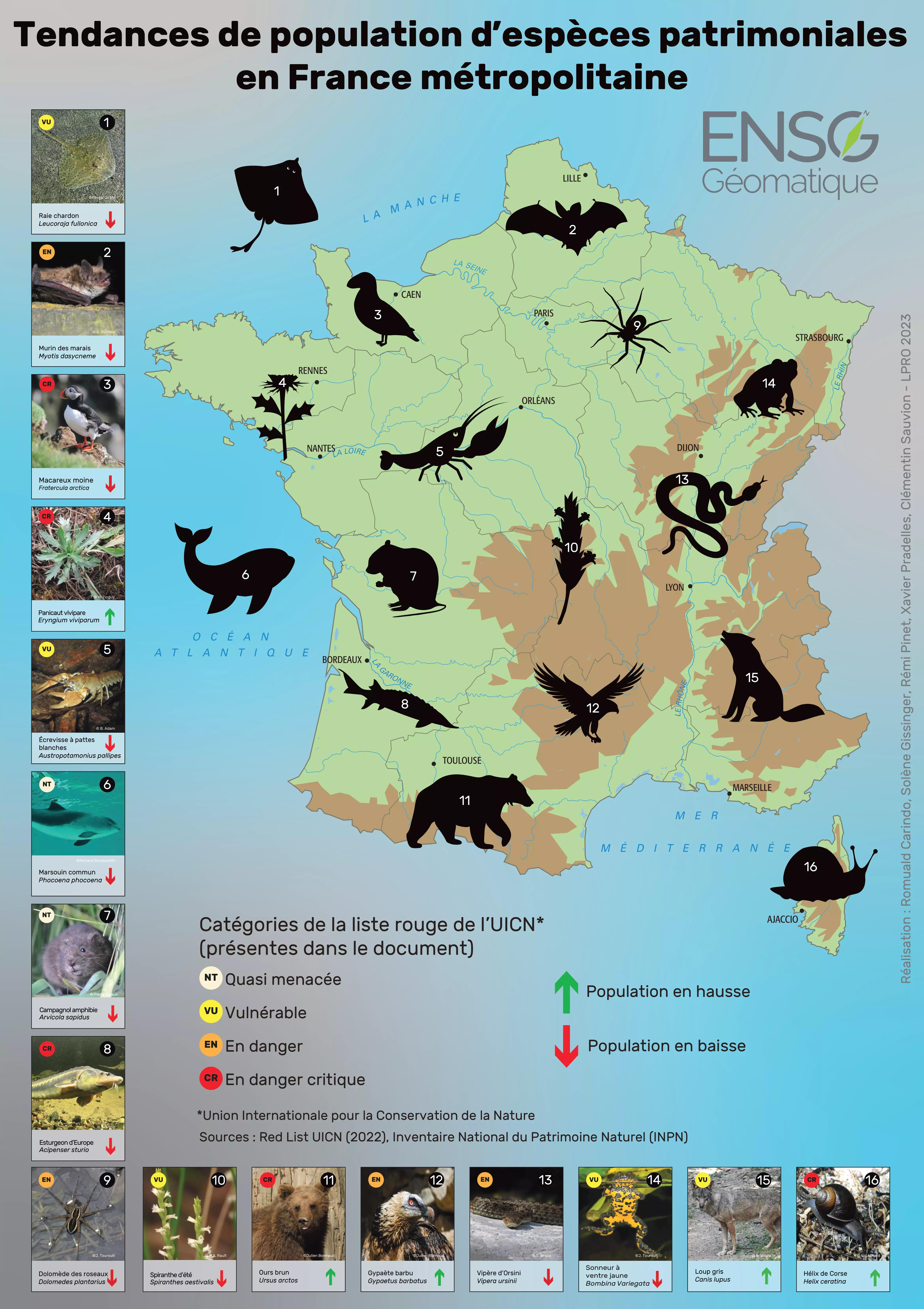 Tendances de population d’espèces patrimoniales en France métropolitaine Carte de la France métropolitaine avec des taxons de faunes et flores imagées